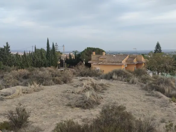 Land In Elche, Spain (19.728 M² Plot)