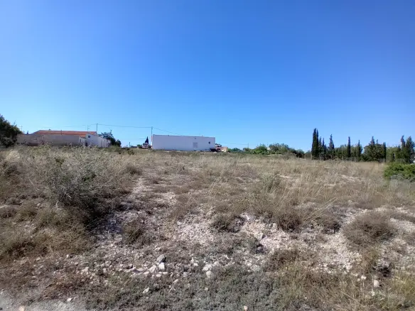 Land In Elche Pedanias, Spain (2.400 M² Plot)