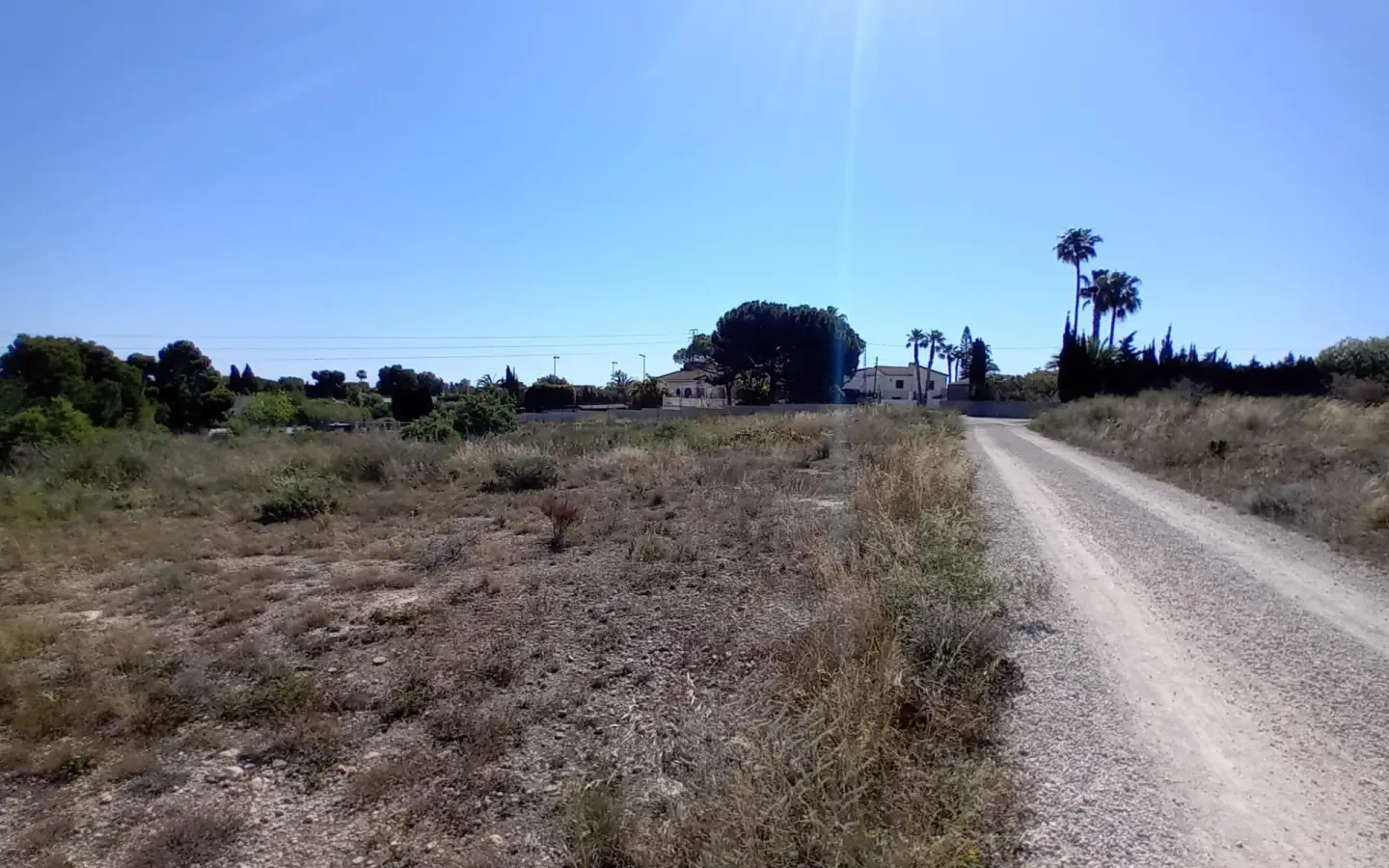 Land In Elche Pedanias, Spain (2.400 M² Plot)