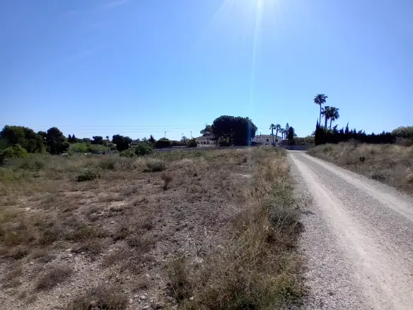 Land In Elche Pedanias, Spain (2.400 M² Plot)