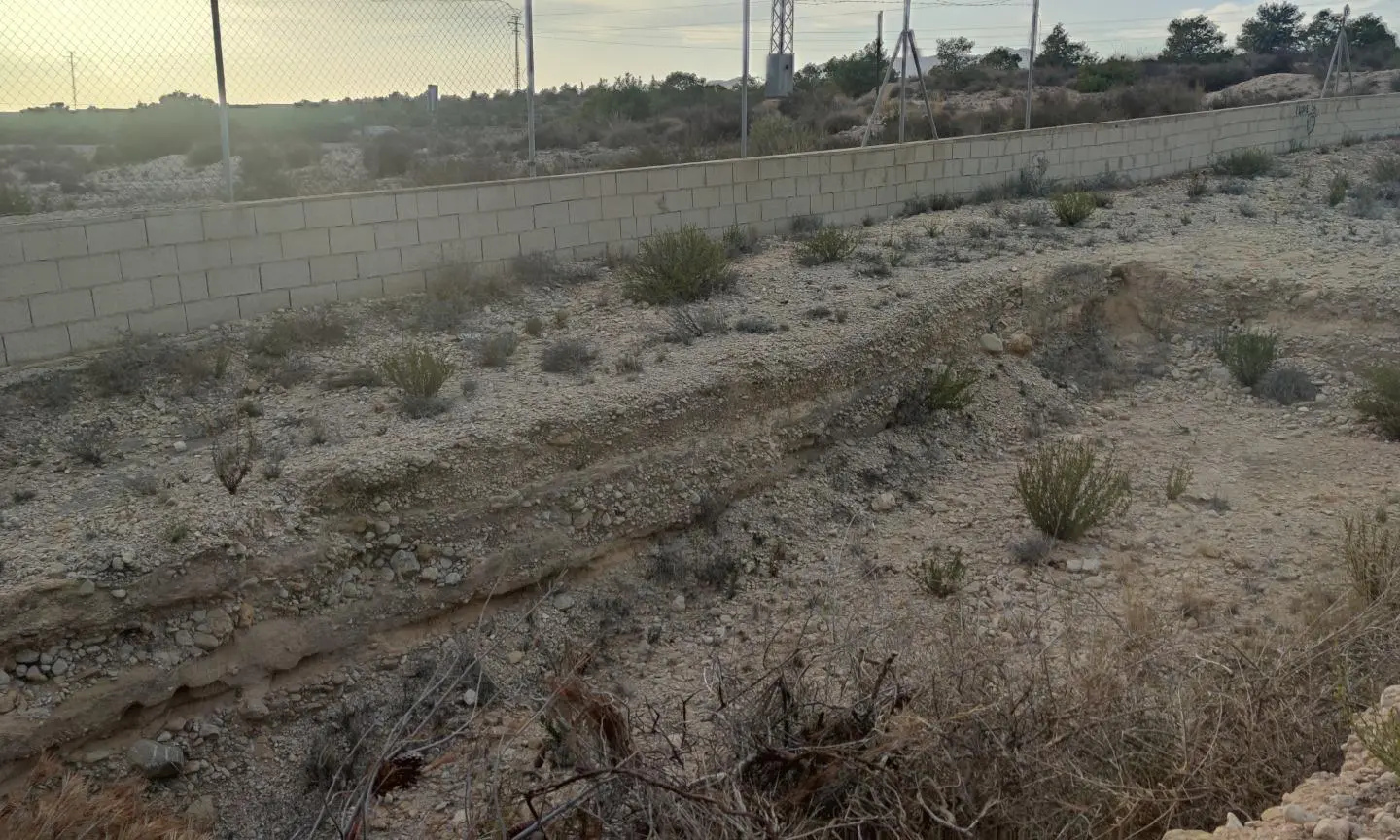 Land In Elche, Spain (19.728 M² Plot)