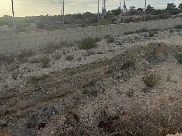 Land In Elche, Spain (19.728 M² Plot)