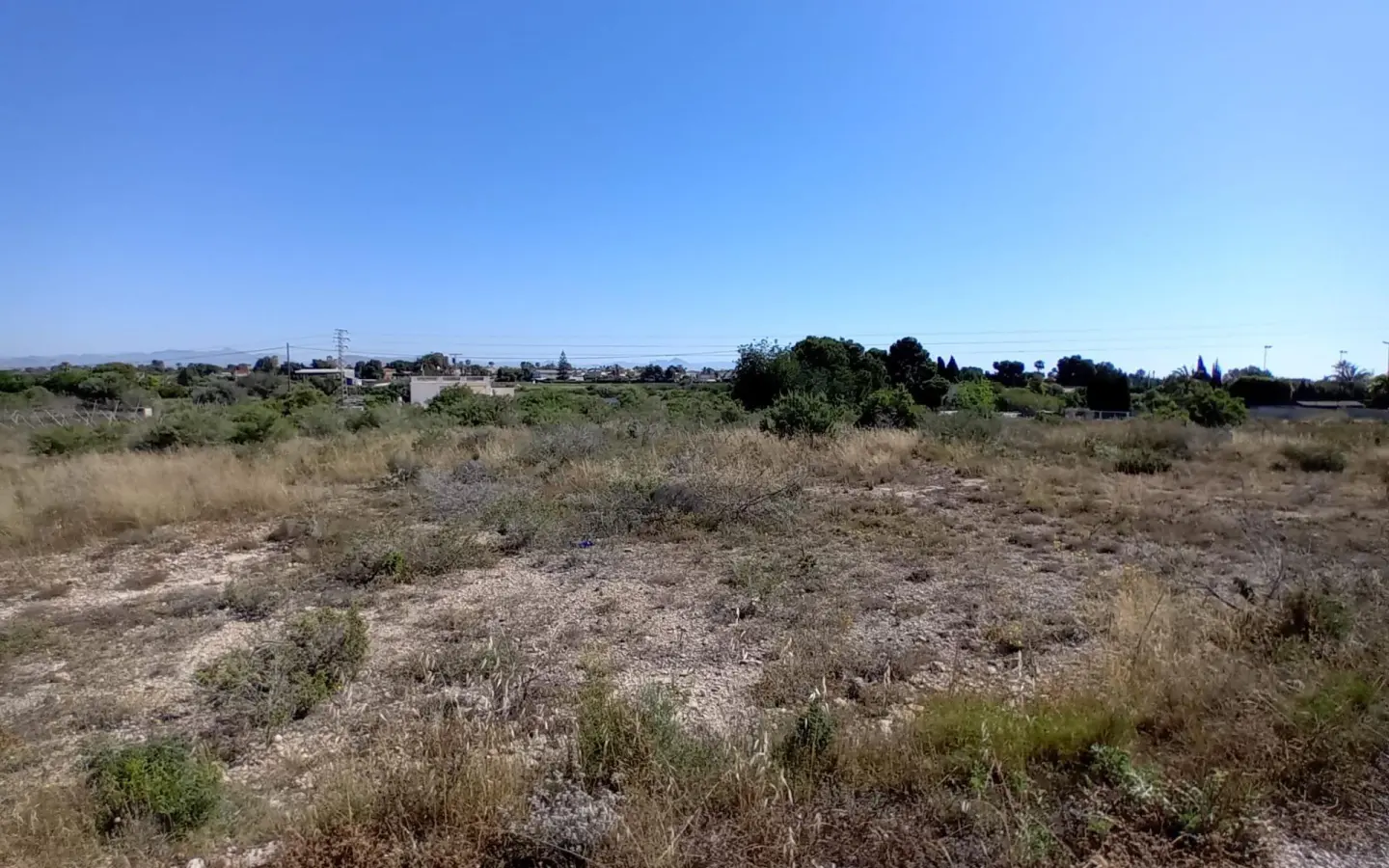 Land In Elche Pedanias, Spain (2.400 M² Plot)