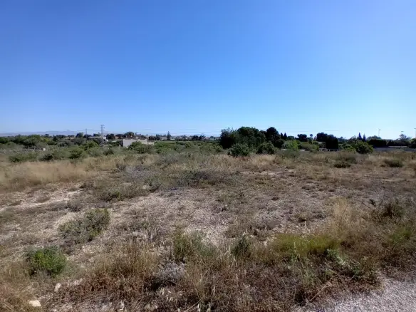 Land In Elche Pedanias, Spain (2.400 M² Plot)