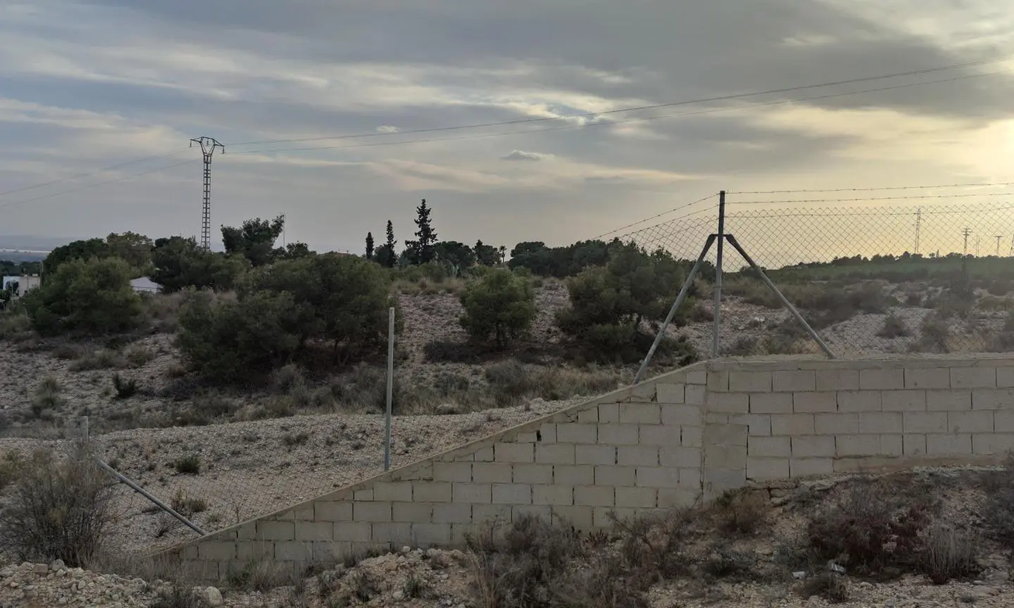 Land In Elche, Spain (19.728 M² Plot)