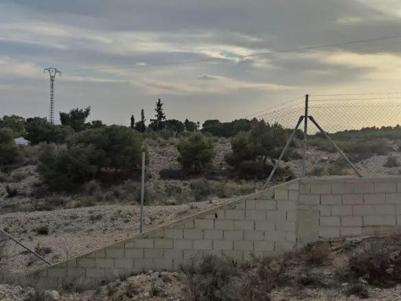 Land In Elche, Spain (19.728 M² Plot)