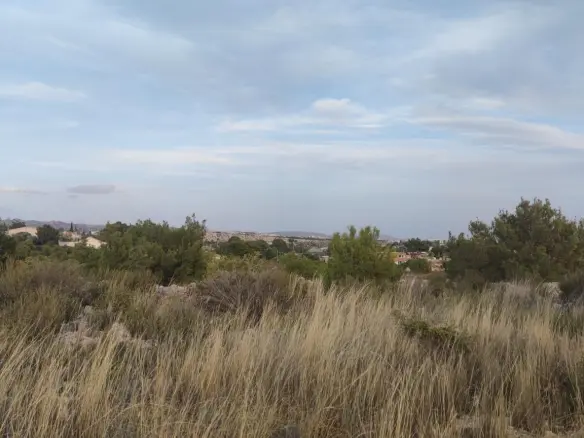 Land In Elche, Spain (19.728 M² Plot)