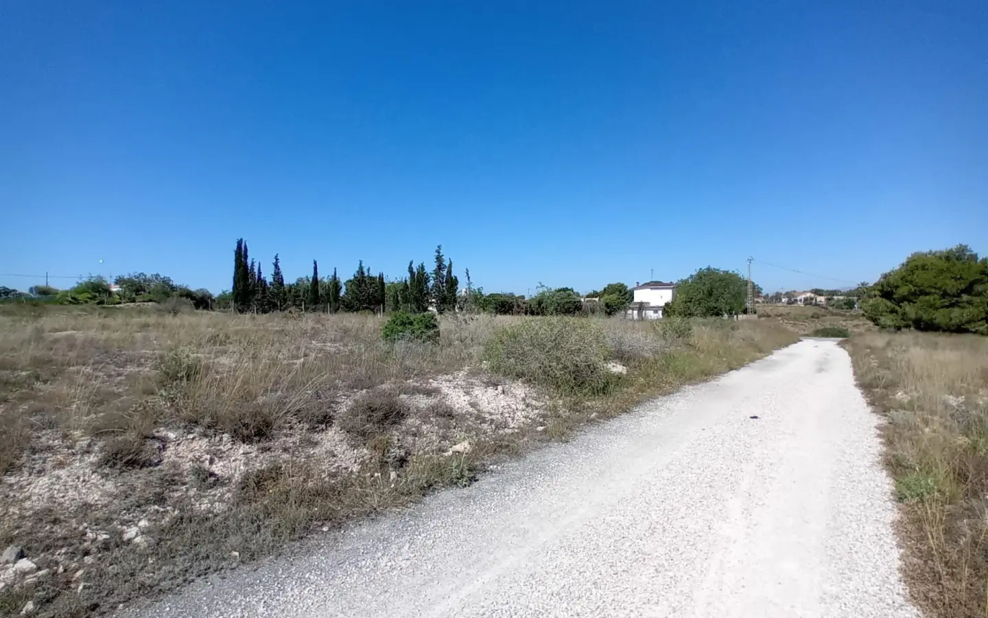 Land In Elche Pedanias, Spain (2.400 M² Plot)