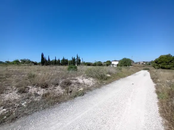 Land In Elche Pedanias, Spain (2.400 M² Plot)