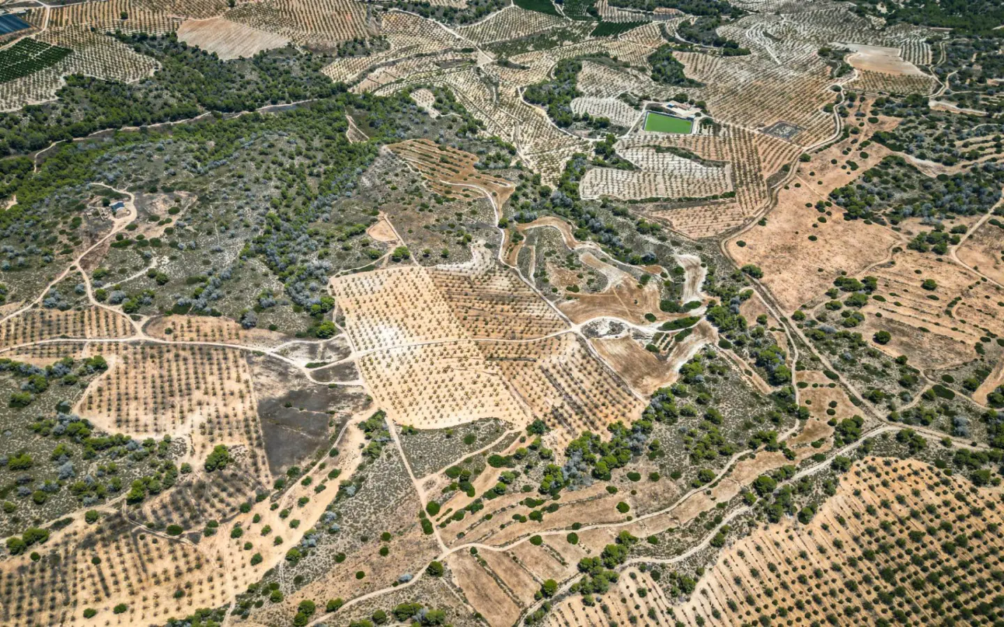 Country Land In Sucina, Spain (298 M²)
