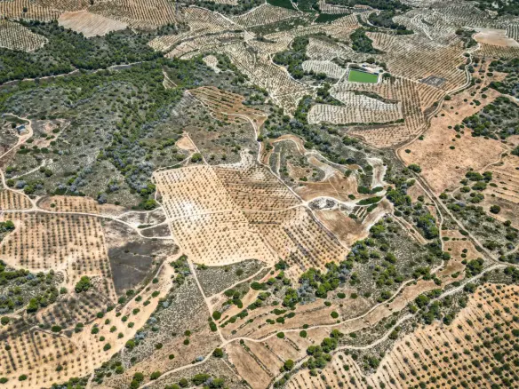 Country Land In Sucina, Spain (298 M²)