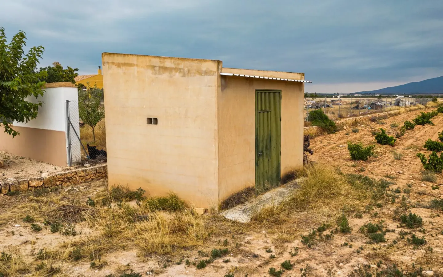 Land In Pinoso, Spain (15.058 M² Plot)
