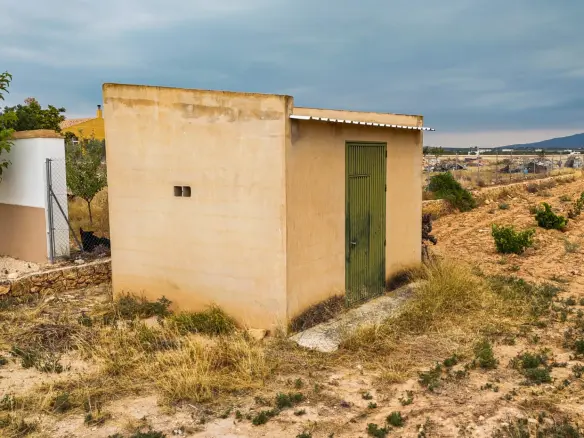 Land In Pinoso, Spain (15.058 M² Plot)