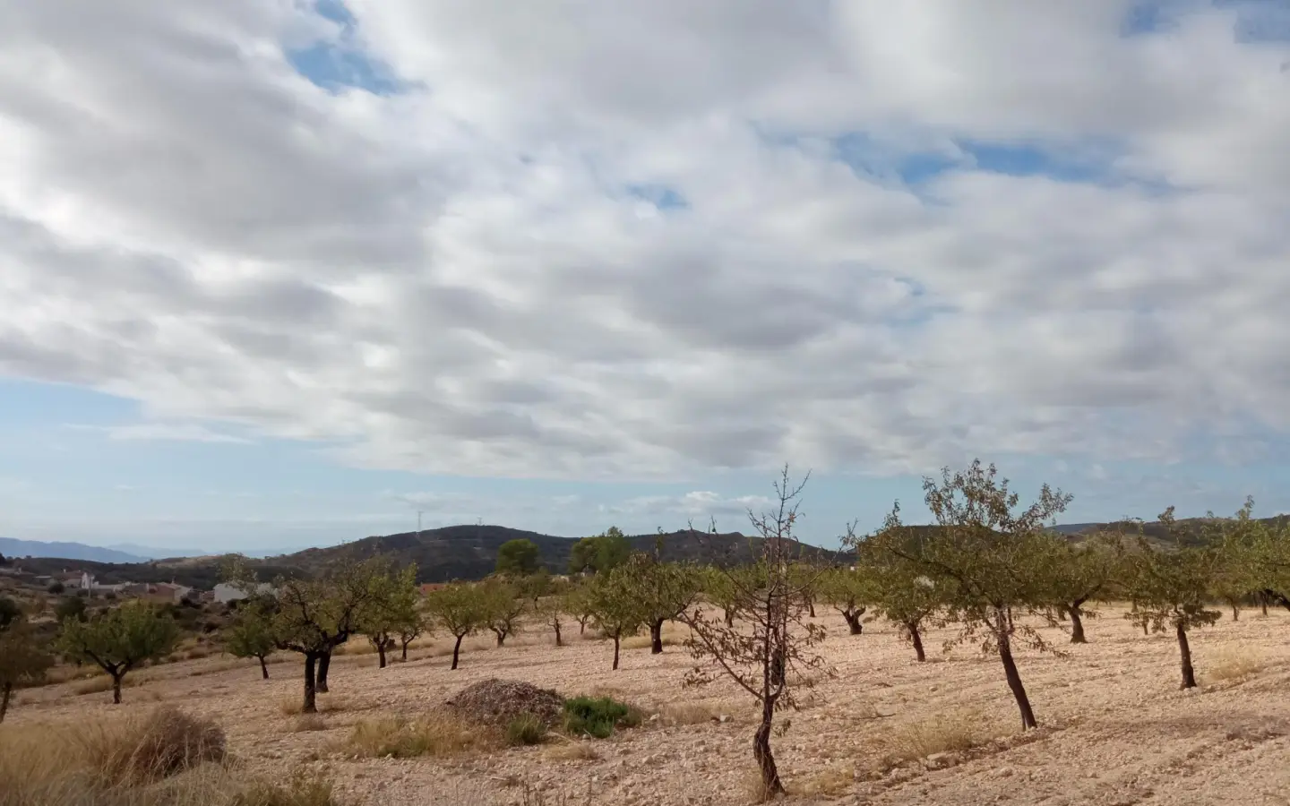 Urban Building Plot In Abanilla, Spain (316 M²)