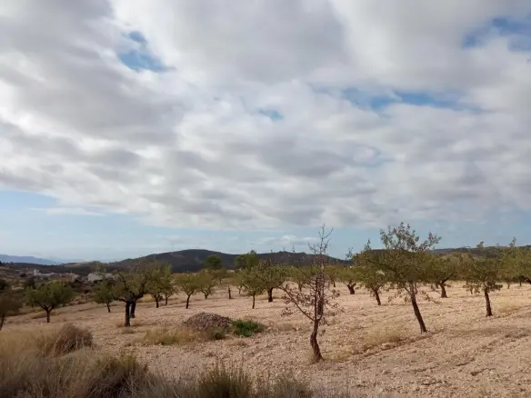 Urban Building Plot In Abanilla, Spain (316 M²)