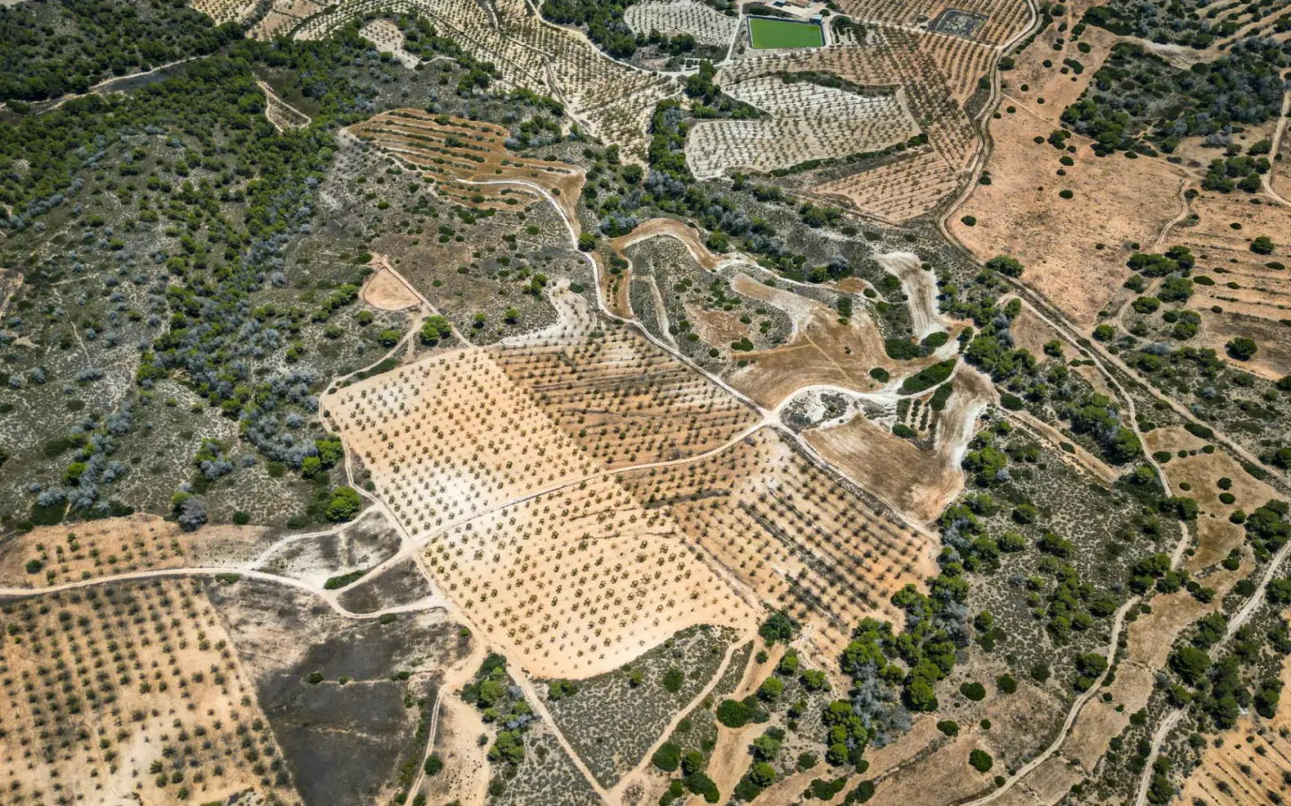 Country Land In Sucina, Spain (298 M²)