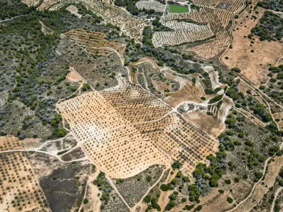 Country Land In Sucina, Spain (298 M²)