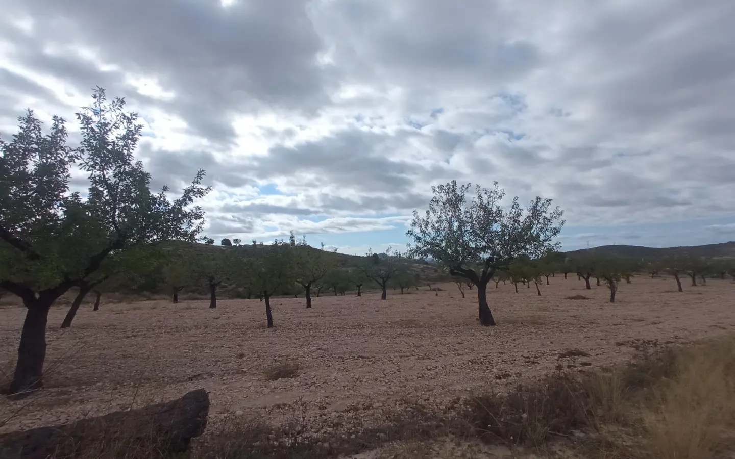 Urban Building Plot In Abanilla, Spain (316 M²)