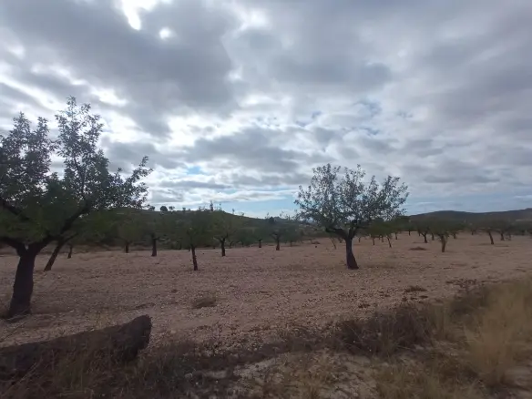 Urban Building Plot In Abanilla, Spain (316 M²)