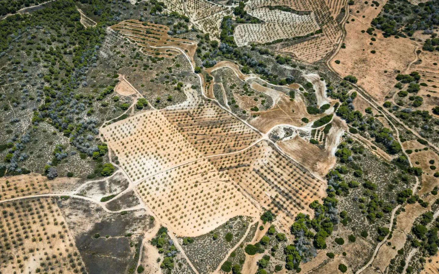 Country Land In Sucina, Spain (298 M²)