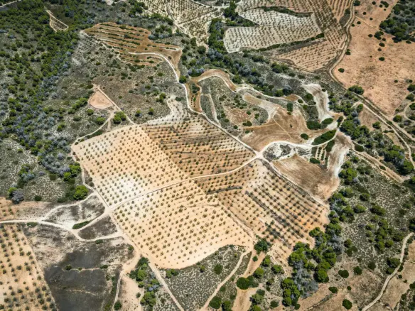 Country Land In Sucina, Spain (298 M²)