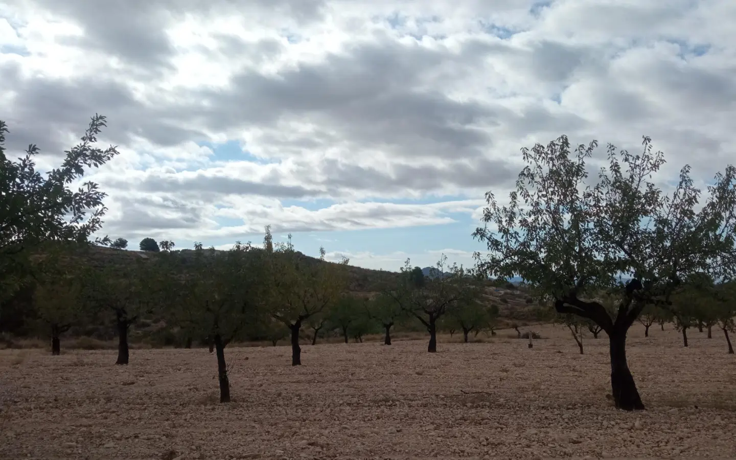 Urban Building Plot In Abanilla, Spain (316 M²)