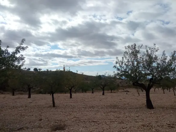 Urban Building Plot In Abanilla, Spain (316 M²)