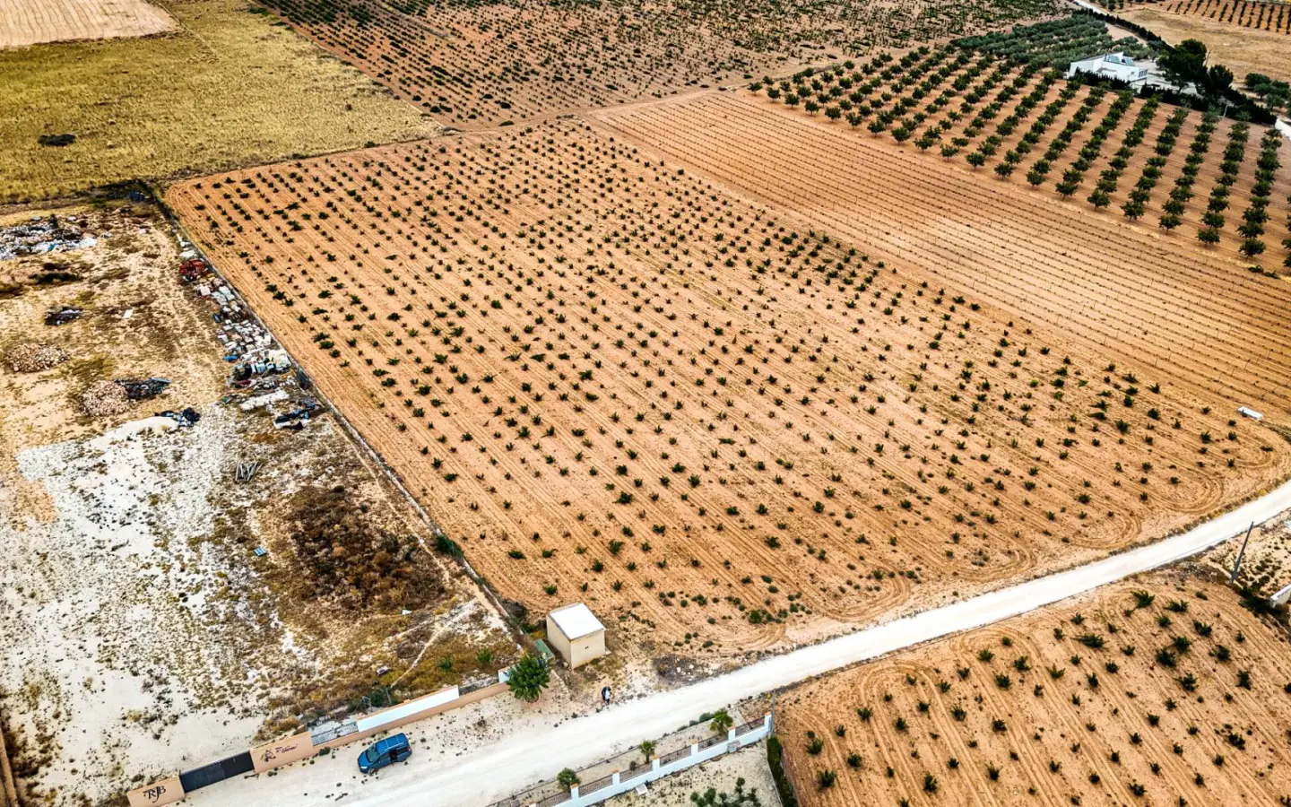 Land In Pinoso, Spain (15.058 M² Plot)