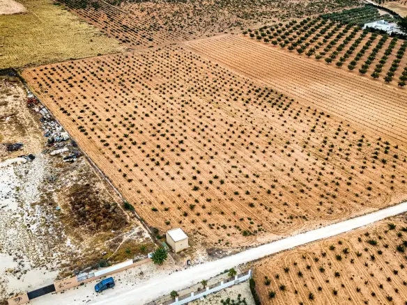 Land In Pinoso, Spain (15.058 M² Plot)