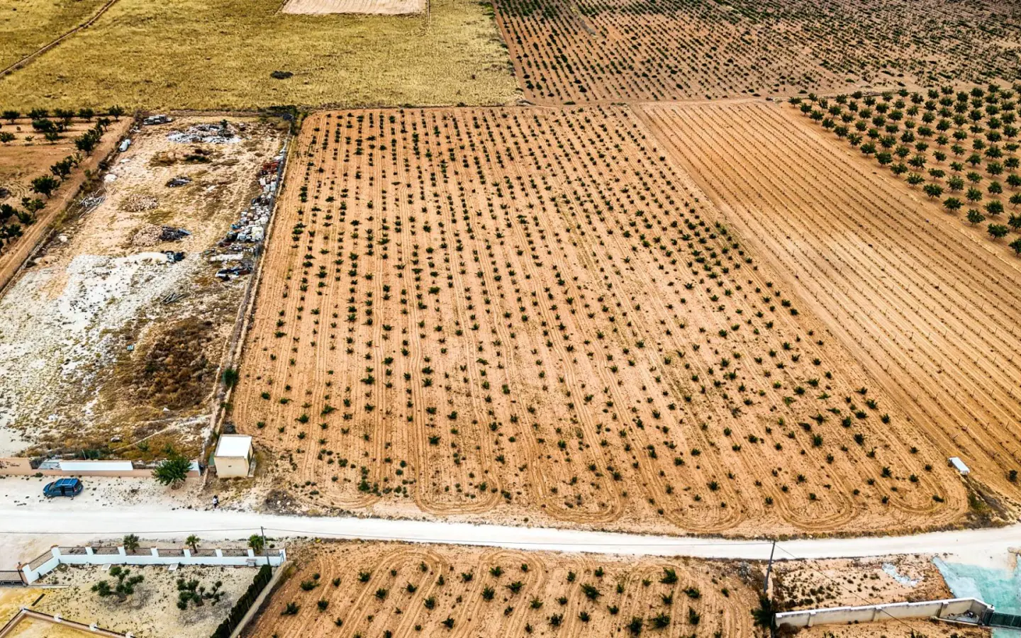 Land In Pinoso, Spain (15.058 M² Plot)