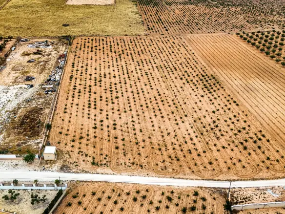 Land In Pinoso, Spain (15.058 M² Plot)