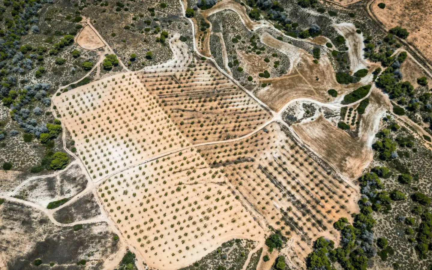 Country Land In Sucina, Spain (298 M²)