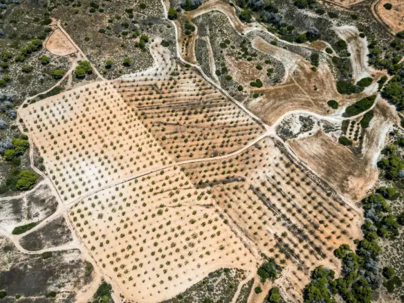 Country Land In Sucina, Spain (298 M²)