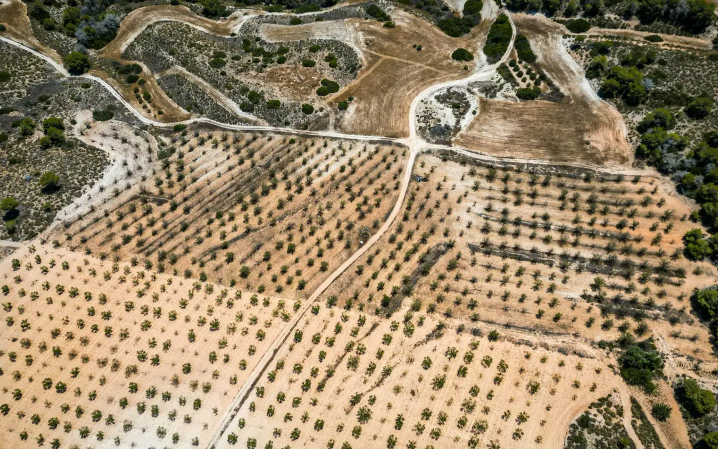Country Land In Sucina, Spain (298 M²)
