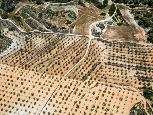Country Land In Sucina, Spain (298 M²)