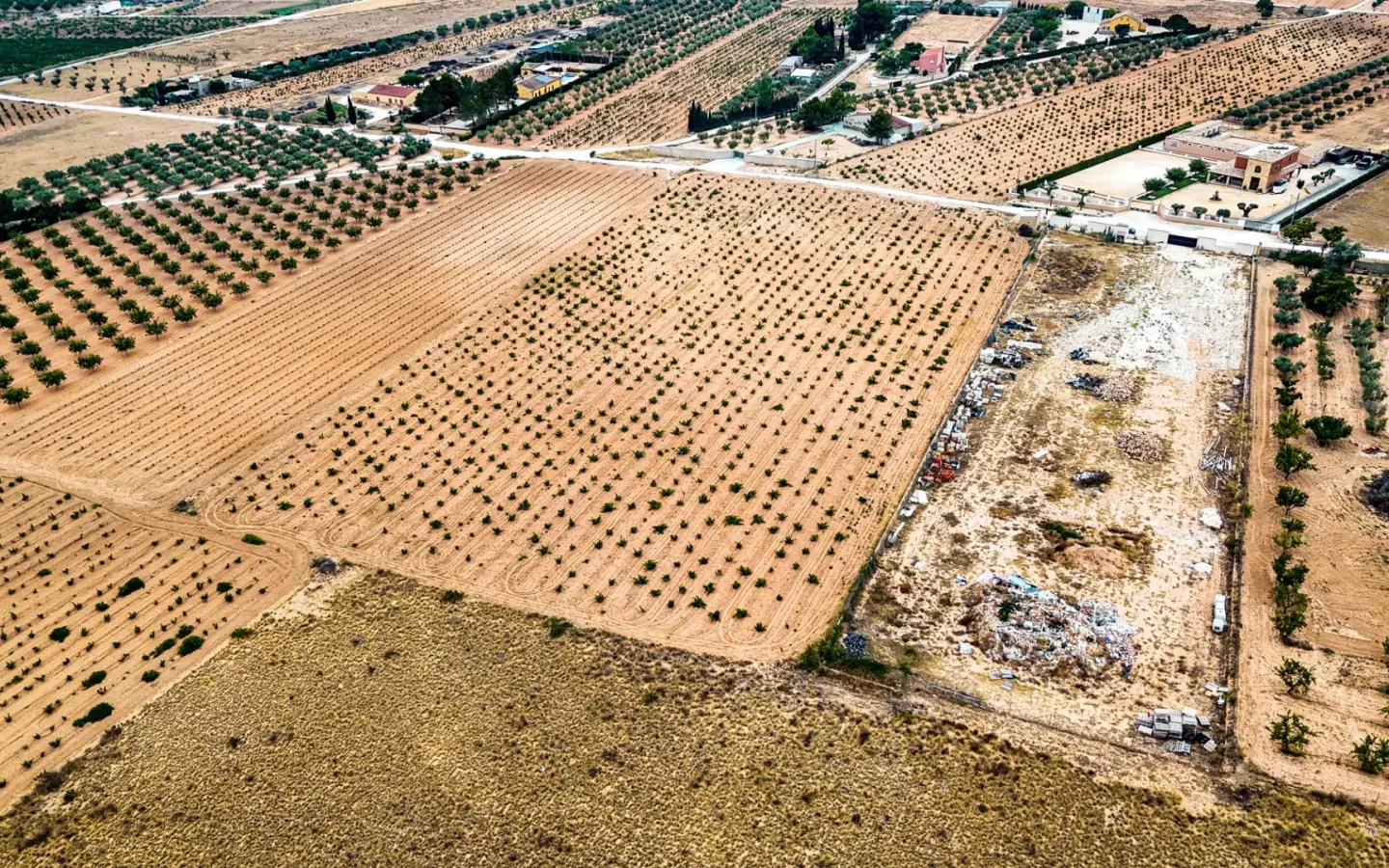 Land In Pinoso, Spain (15.058 M² Plot)