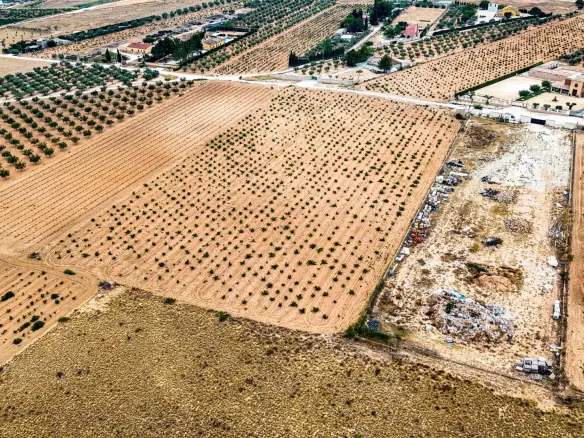 Land In Pinoso, Spain (15.058 M² Plot)