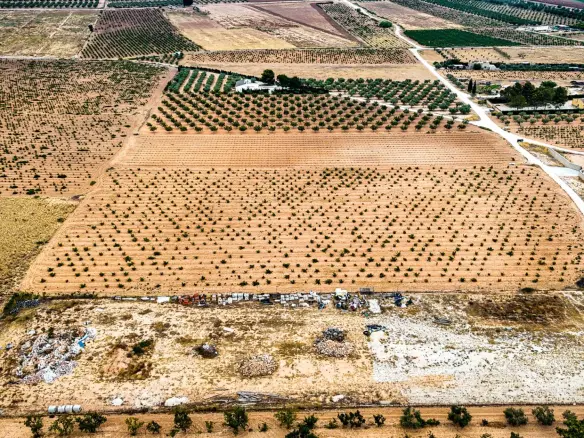 Land In Pinoso, Spain (15.058 M² Plot)