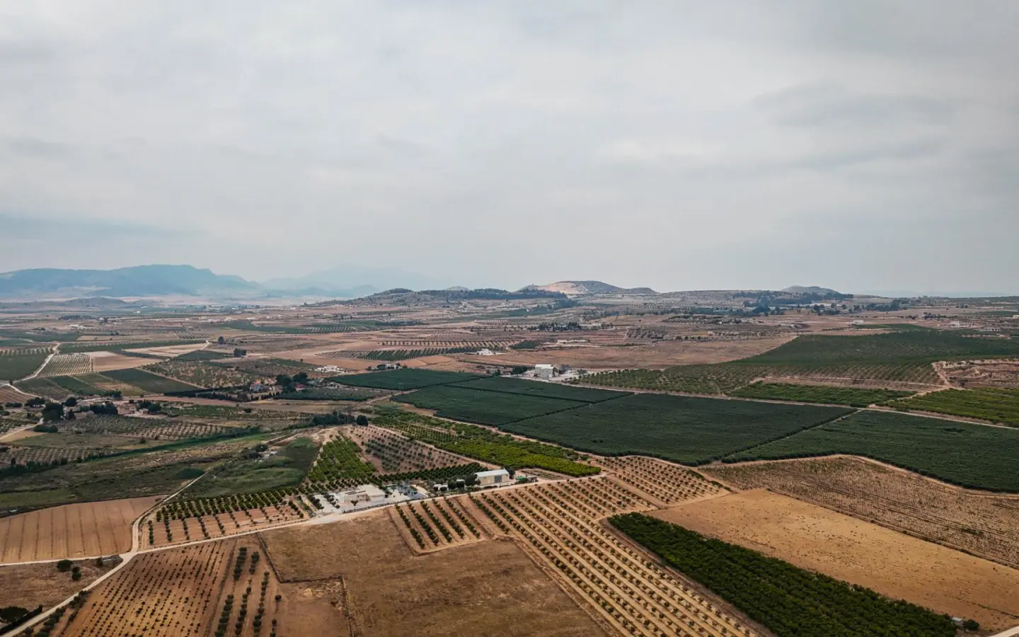 Land In Pinoso, Spain (15.058 M² Plot)