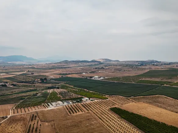 Land In Pinoso, Spain (15.058 M² Plot)