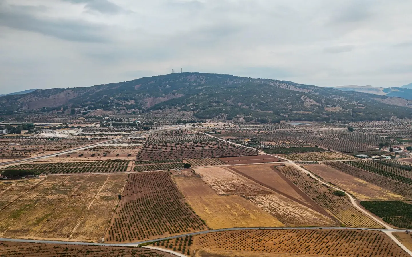 Land In Pinoso, Spain (15.058 M² Plot)