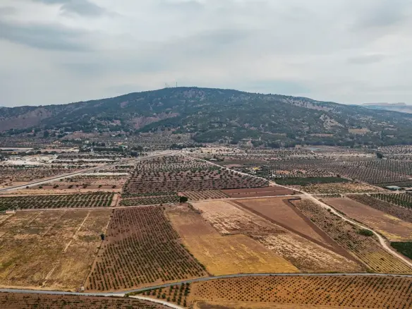 Land In Pinoso, Spain (15.058 M² Plot)