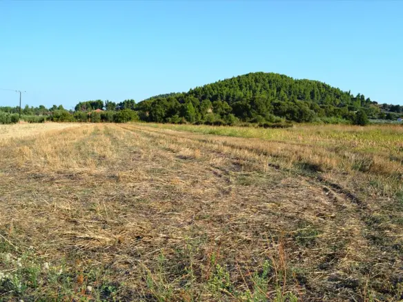 Land 4000 M² In Kassandra, Chalkidiki