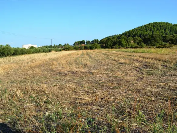 Land 4000 M² In Kassandra, Chalkidiki