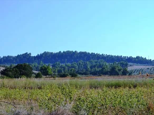 Land 4000 M² In Kassandra, Chalkidiki