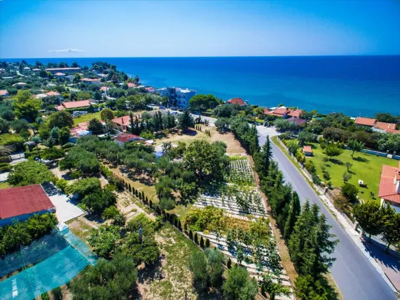 Land 2500 M² In Kassandra, Chalkidiki