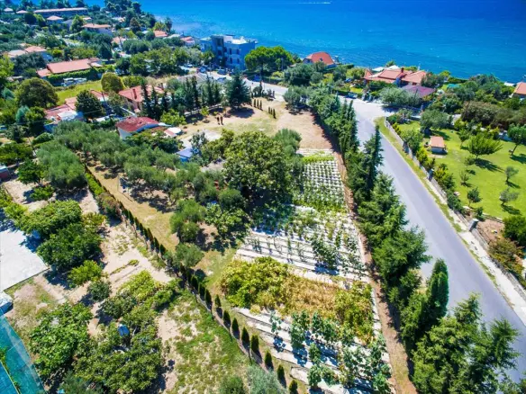 Land 2500 M² In Kassandra, Chalkidiki