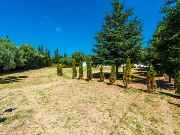 Land 2500 M² In Kassandra, Chalkidiki