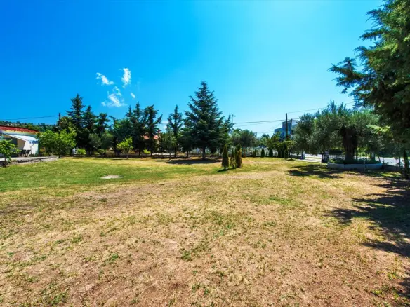 Land 2500 M² In Kassandra, Chalkidiki