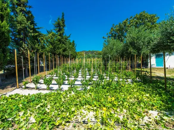 Land 2500 M² In Kassandra, Chalkidiki